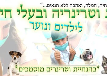 קייטנת ווטרינריה לילדים