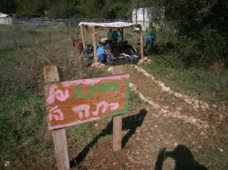 חווה אקולוגית