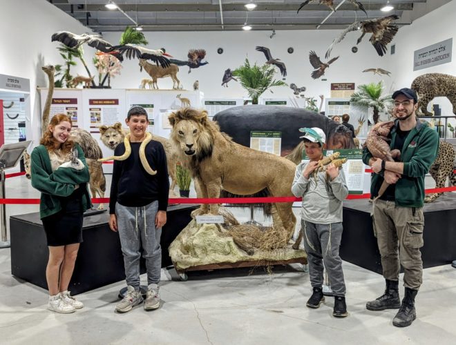 מוזיאון טבע תנכי אטרקציות למשפחות וילדים