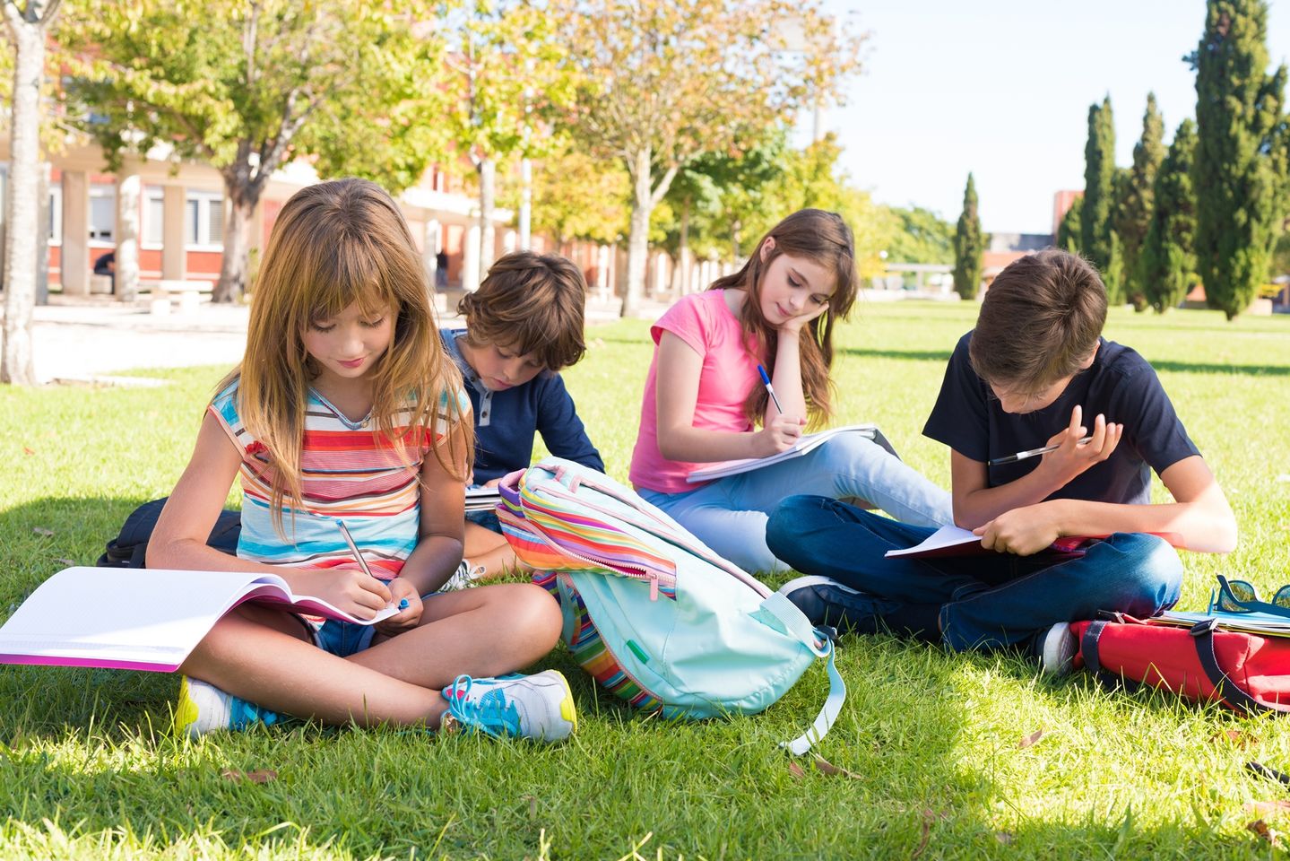 רישוי מוסדות חינוך בטיחות והנדסה