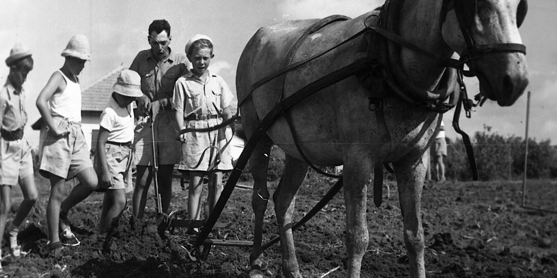 קייטנה בנתניה, אוסף קרן היסוד [תאריך לא ידוע] (NKH\491174)