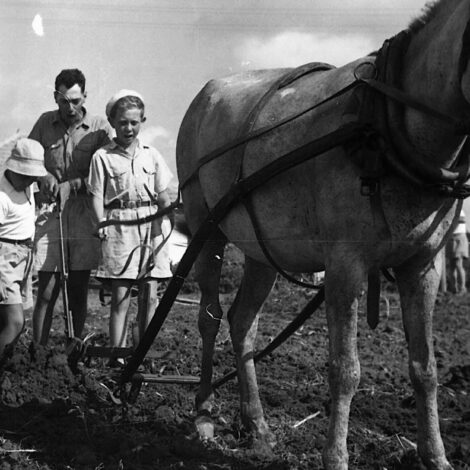 קייטנה בנתניה, אוסף קרן היסוד [תאריך לא ידוע] (NKH\491174)