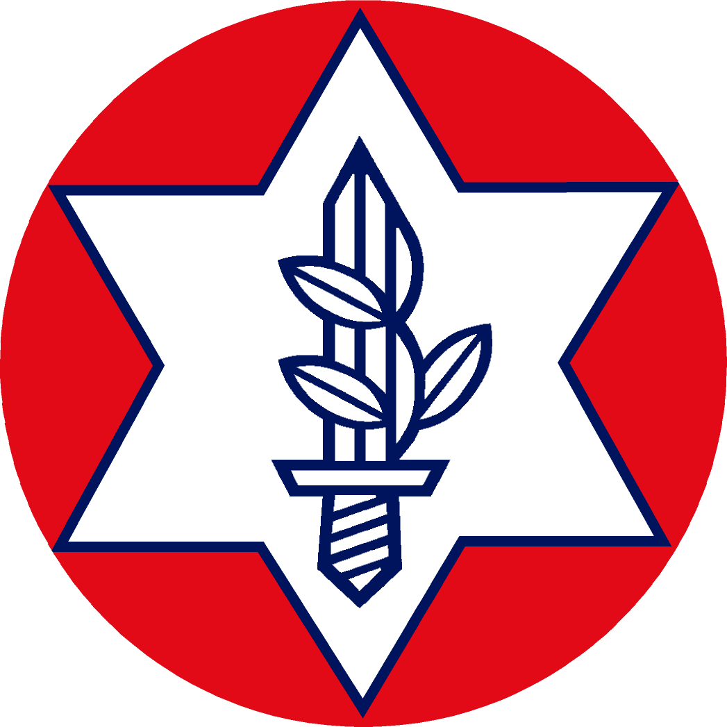 ארגון נכי צהל