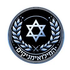 מערך המילואים