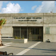 מוזיאון בתי האוסף לתולדות צהל