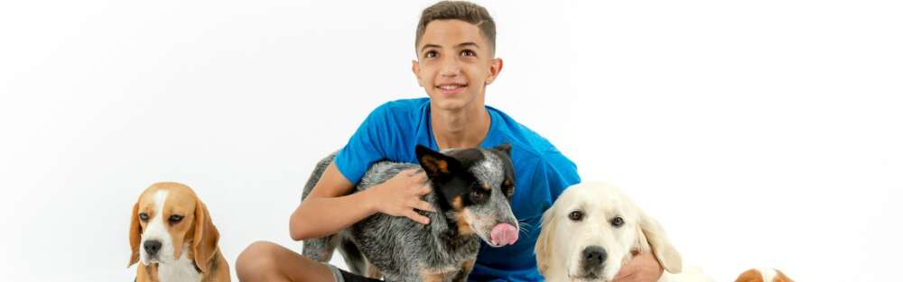 ofer.dogstlv@gmail.com