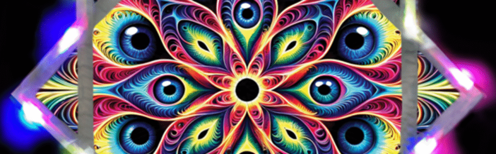 tipkacollective@gmail.com